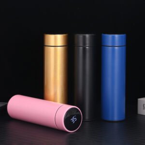 Smart Temperature Water Bottle